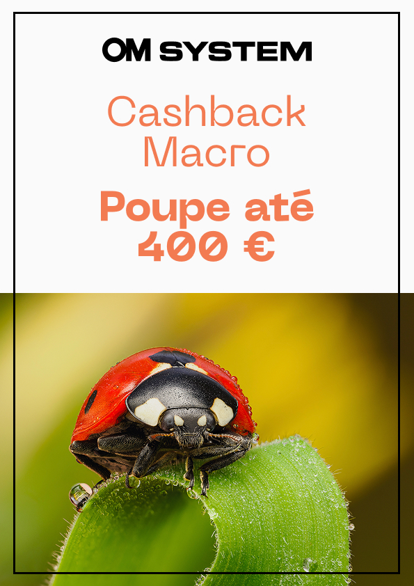 Cashback Macro