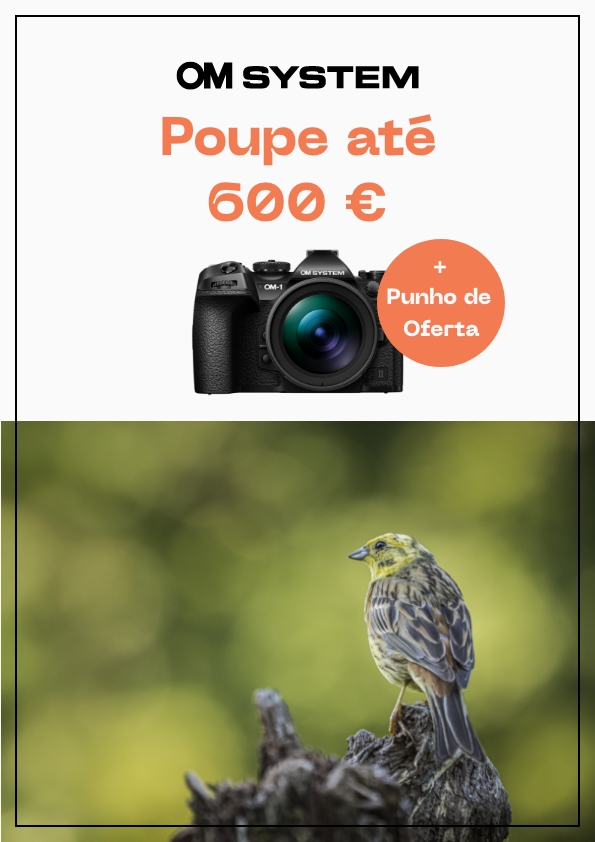 POUPE ATÉ 600€