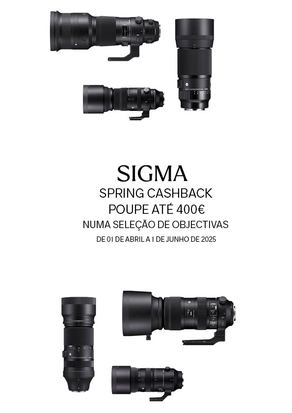 Sigma Spring Wildlife