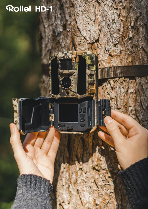 Colorfoto - Loja Online de Fotografia e Vídeo