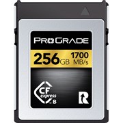 CFexpress™ 2.0 Type B Gold 256GB