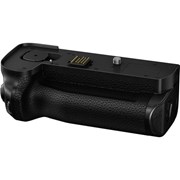 Punho DMW-BGS1 (S1 / S1R)