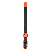 Correia CUFF (IBIS)