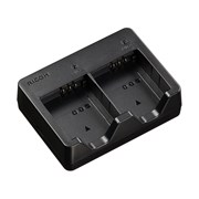 Carregador de bateria BJ-12
