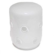 Protector de vidro