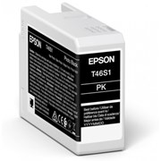 EPSON Tinteiro PHOTO BLACK T46S1