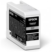 EPSON Tinteiro GRAY T46S7