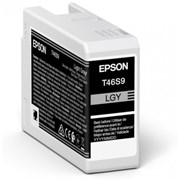 EPSON Tinteiro LIGHT GRAY T46S9