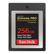 Extreme Pro CFexpress Type B 256GB