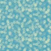 Ella Bella Fundo Bokeh Blue (2524)  1.2x3.7m