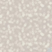 Ella Bella Fundo Bokeh Grey (2525) 1.2x3.7m