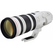 EF 200-400mm f/4L IS USM TC 1.4x