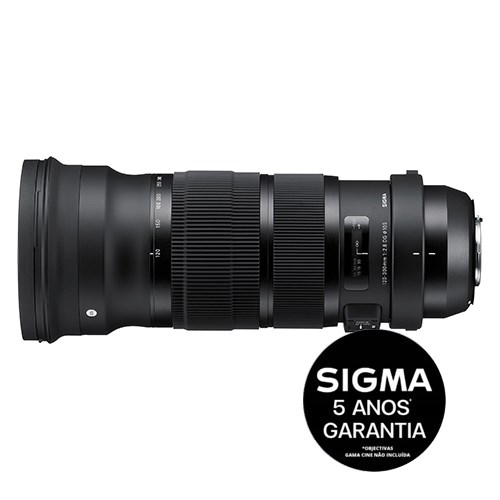 SIGMA 120-300mm F2.8 DG OS HSM | S (Nikon)