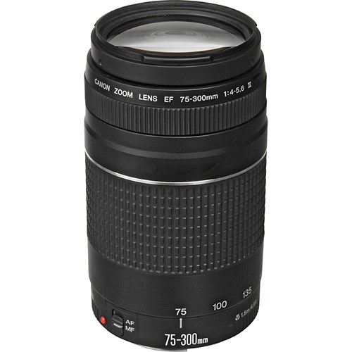 CANON EF 75-300 mm f/4-5.6 III