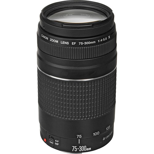 CANON EF 75-300 mm f:4-5.6 III