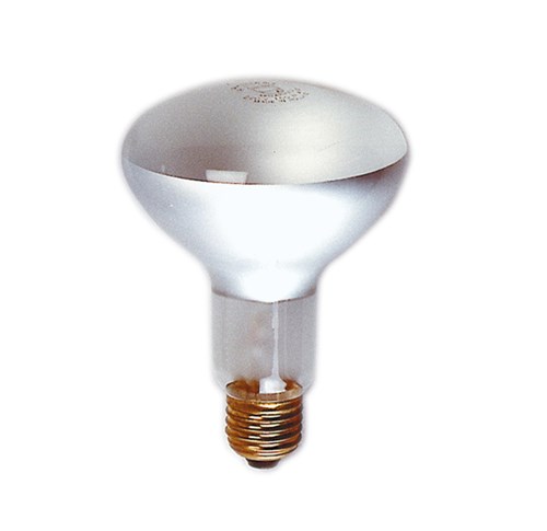 KAISER Lâmpada Photoflood 150W E27 - 3128