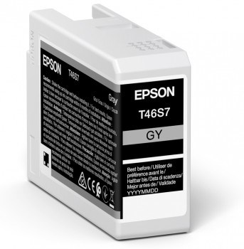 EPSON Tinteiro GRAY T46S7