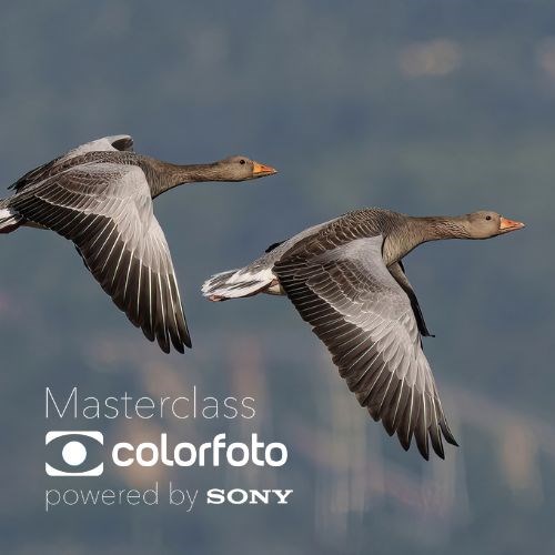 COLORFOTO Masterclass powered by Sony