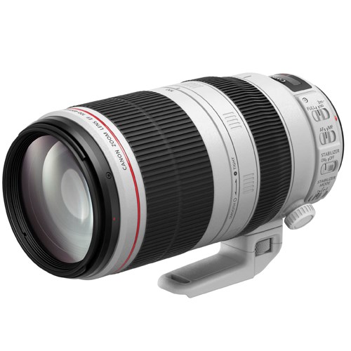 Canon EF 100-400mm f/4.5-5.6L IS II USM